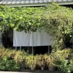 HIMITO -たんぽぽとピールアート-